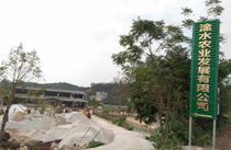 茂名展示厅音响工程案例-【绿巨人软件免费看污黄视频】