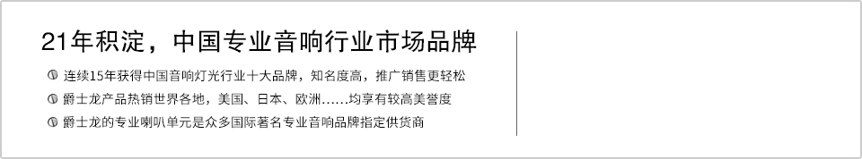 21年积淀，中国专业音响行业市场品牌